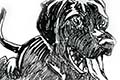 caricature of pet dog