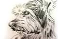 caricature of pet dog