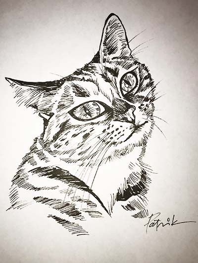 Pet Portrait in Atlanta of Cat