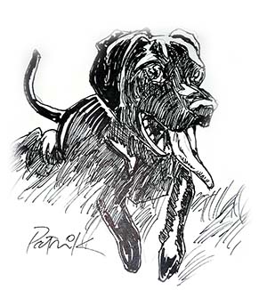 Pet Portrait in Atlanta of dog
