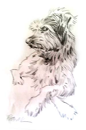 Pet Portrait in Atlanta of dog