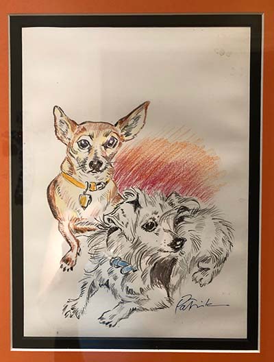 Pet Portrait in Atlanta of dog